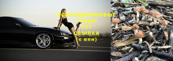 прущие крисы Бородино