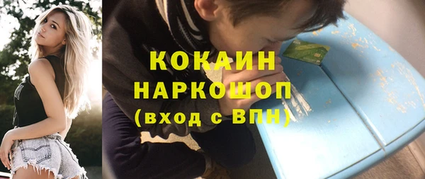 прущие крисы Бородино