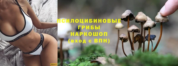 трава Бронницы