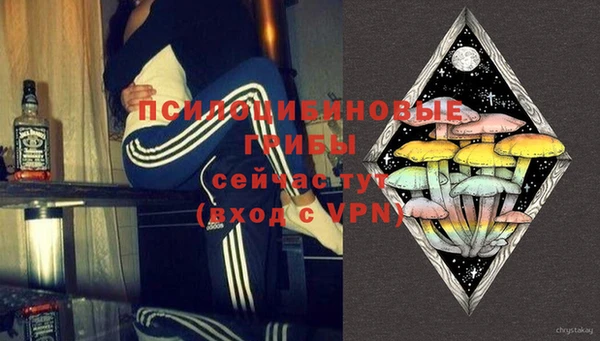 прущие крисы Бородино
