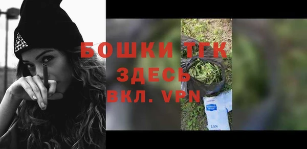 прущие крисы Бородино