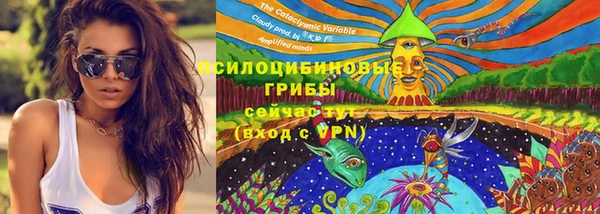 прущие крисы Бородино