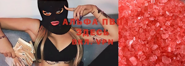 прущие крисы Бородино