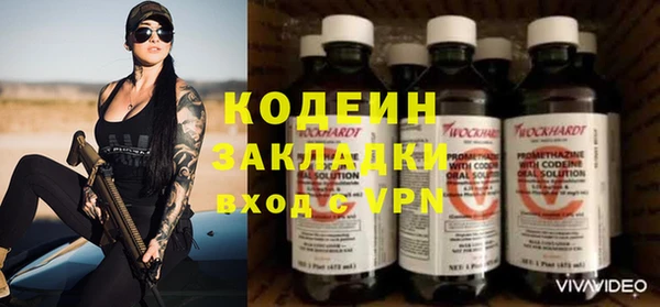 прущие крисы Бородино
