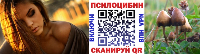 где купить наркотик  Балашиха  Галлюциногенные грибы Psilocybe 